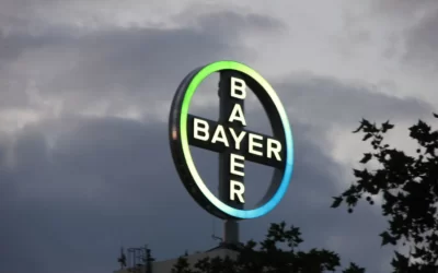 Como a Proteína Digital transformou a estratégia da Bayer com o PRO Carbono